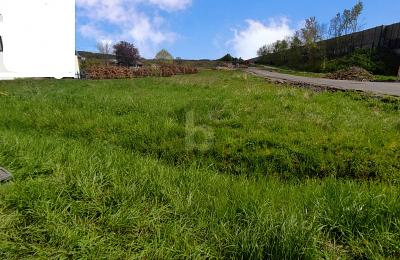 SCHÖNES GRUNDSTÜCK IN VOXTRUP zimmer