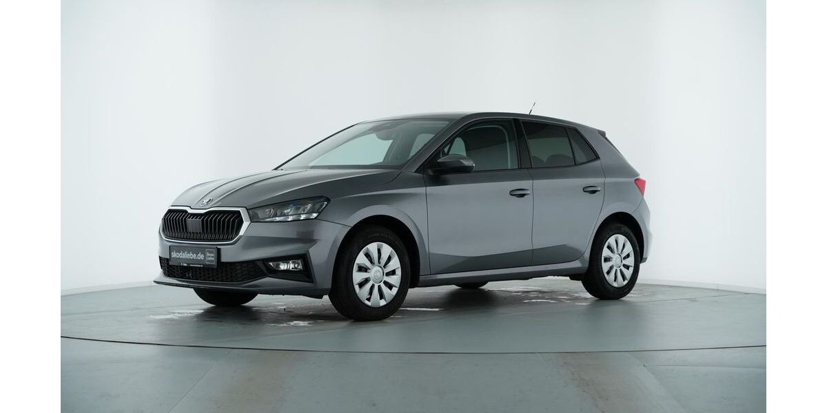 Skoda Fabia 12.613 km 19.489 &euro; Salzgitter 38229