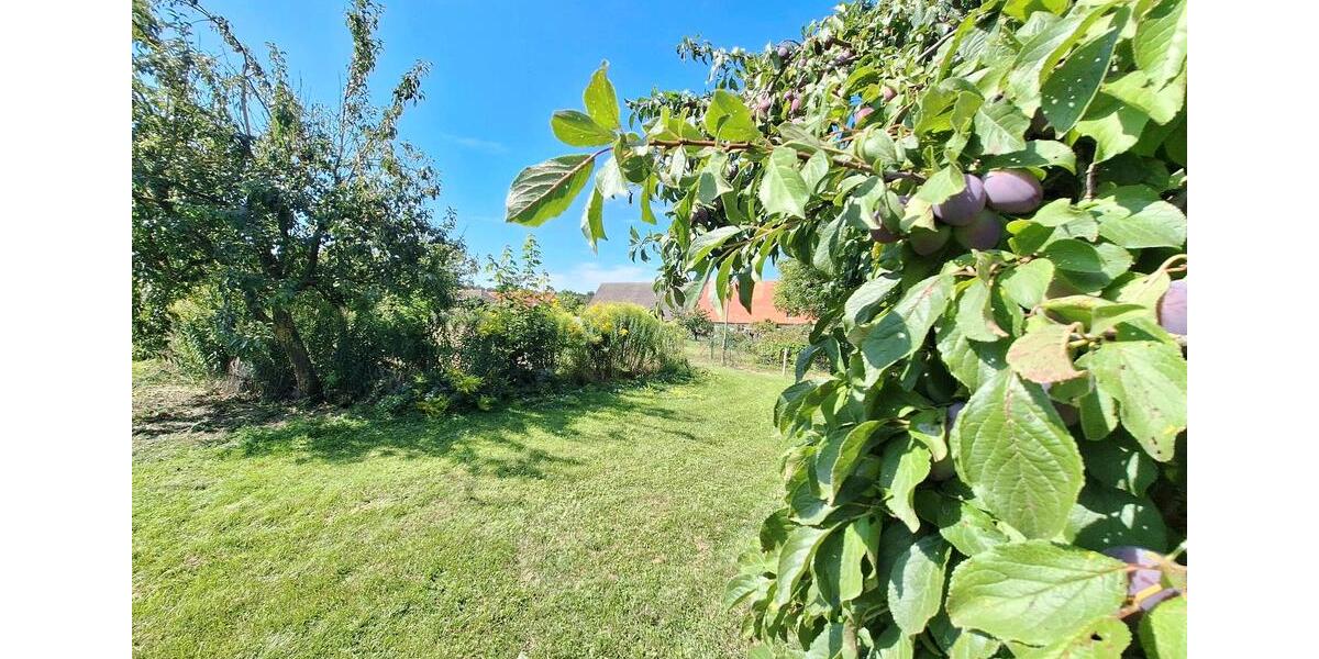 Einfamilienhaus Strasburg (Uckermark) - 4 Zimmer, 90 m&sup2;, 115.000&euro; | Angebot:25945905