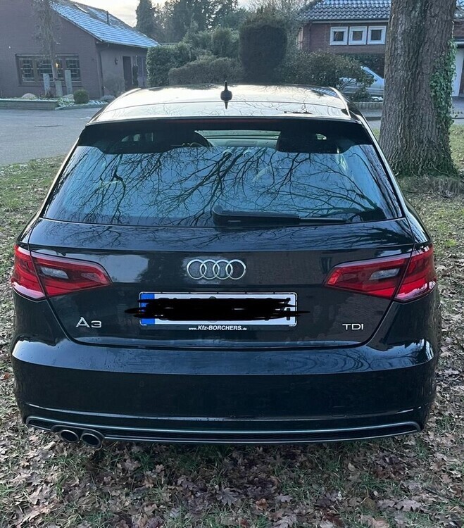 A3
