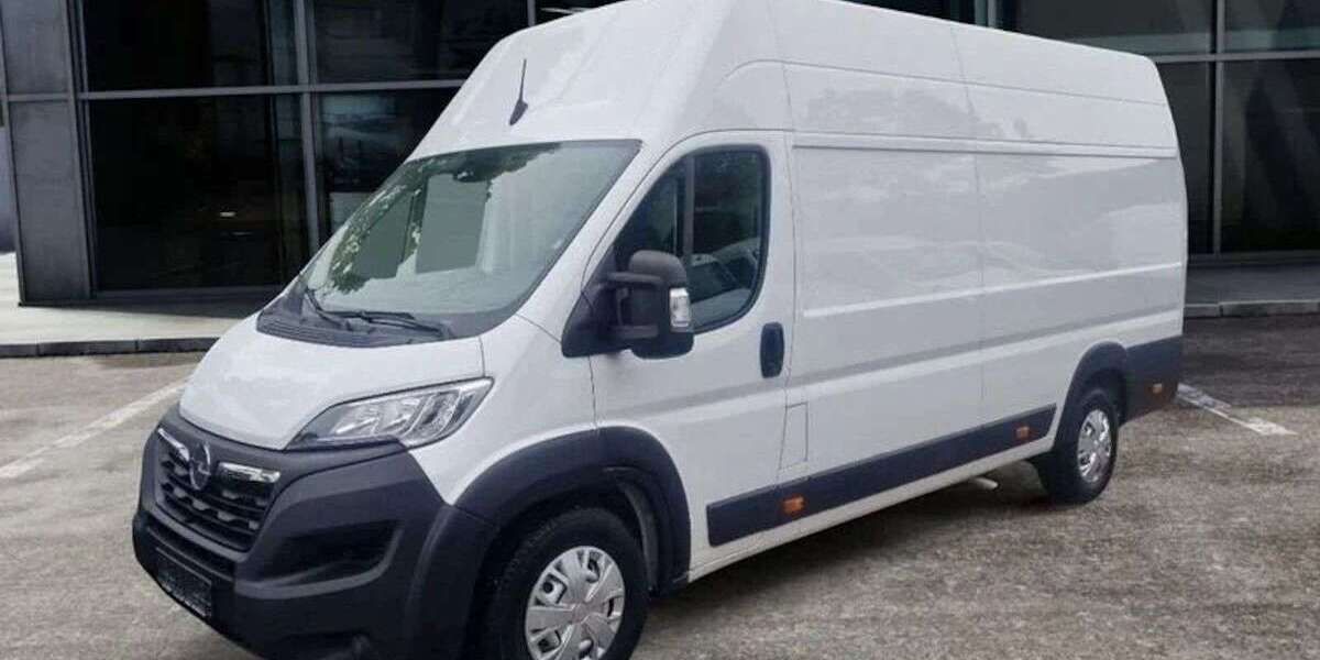 Opel Movano 18.000 km 29.998 € Landau 76829