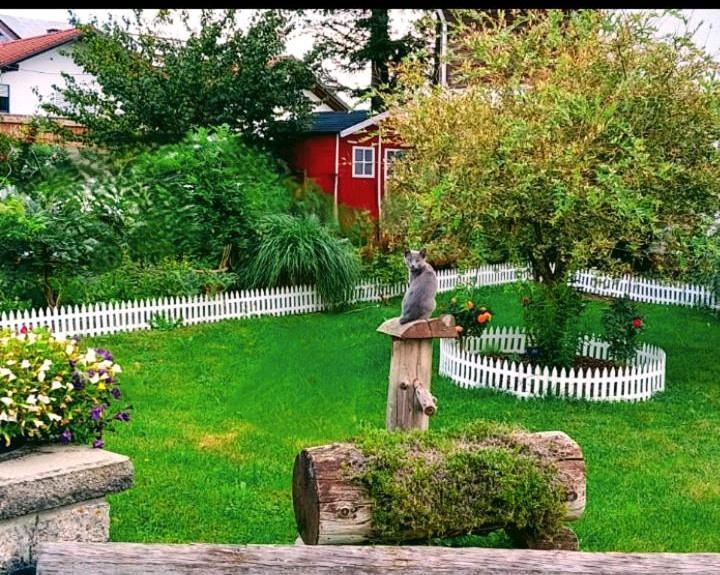 Mehrfamilienhaus, Wohnhaus Unterthingau - 8 Zimmer, 180 m&sup2;, 549.000&euro; | Angebot:27084179
