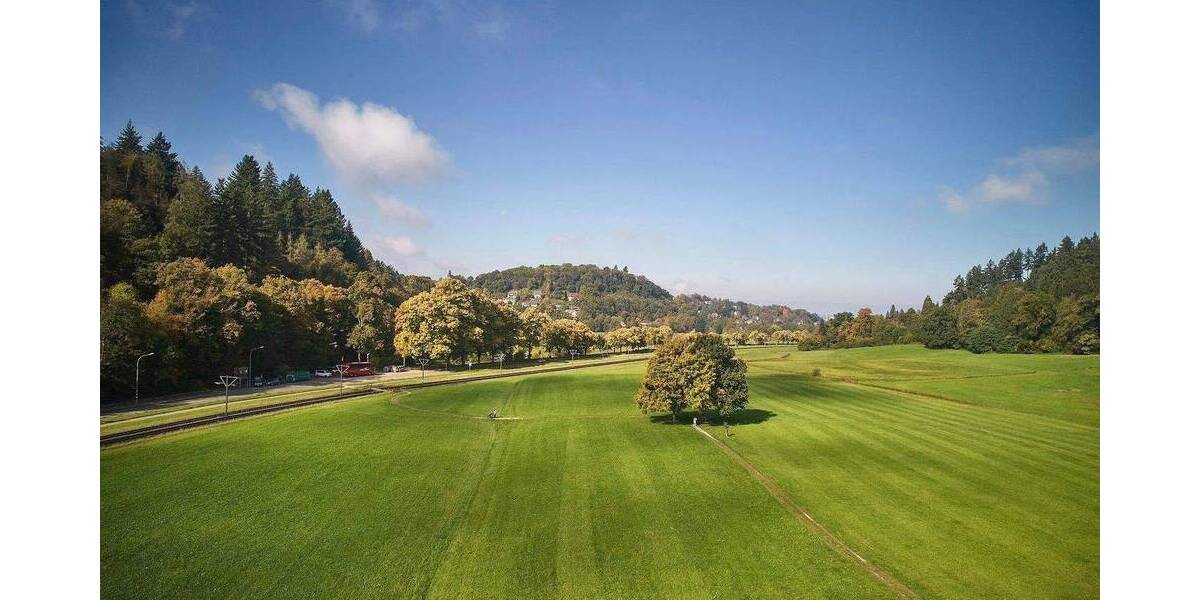 Modernisiertes 4-Fam.Haus Bj. 1890 + Fabrik-Loft-Etage + viele neue Details + 405qm WNF + 528qm GS + Gartenhs + Paradiesgarten + ideal f. Aufteilg 1 zimmer