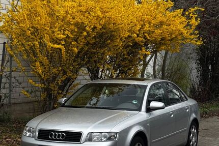 Audi A4 230.000 km 1.999 &euro; Waghäusel 68753