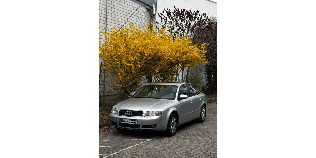 Audi A4 230.000 km 1.999 &euro; Waghäusel 68753
