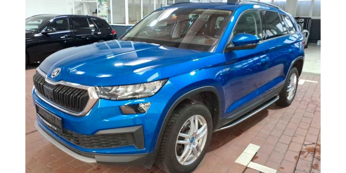 Skoda Kodiaq 95.900 km 29.990 &euro; Unna 59423