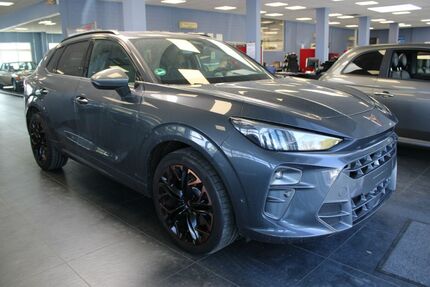 Cupra Terramar 9.998 km 38.980 &euro; Euskirchen 53881