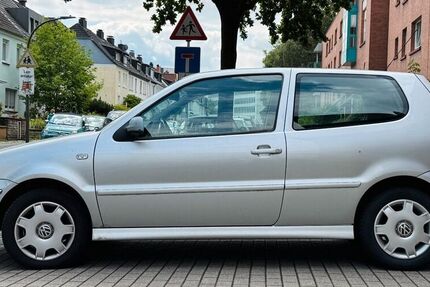 VW Polo