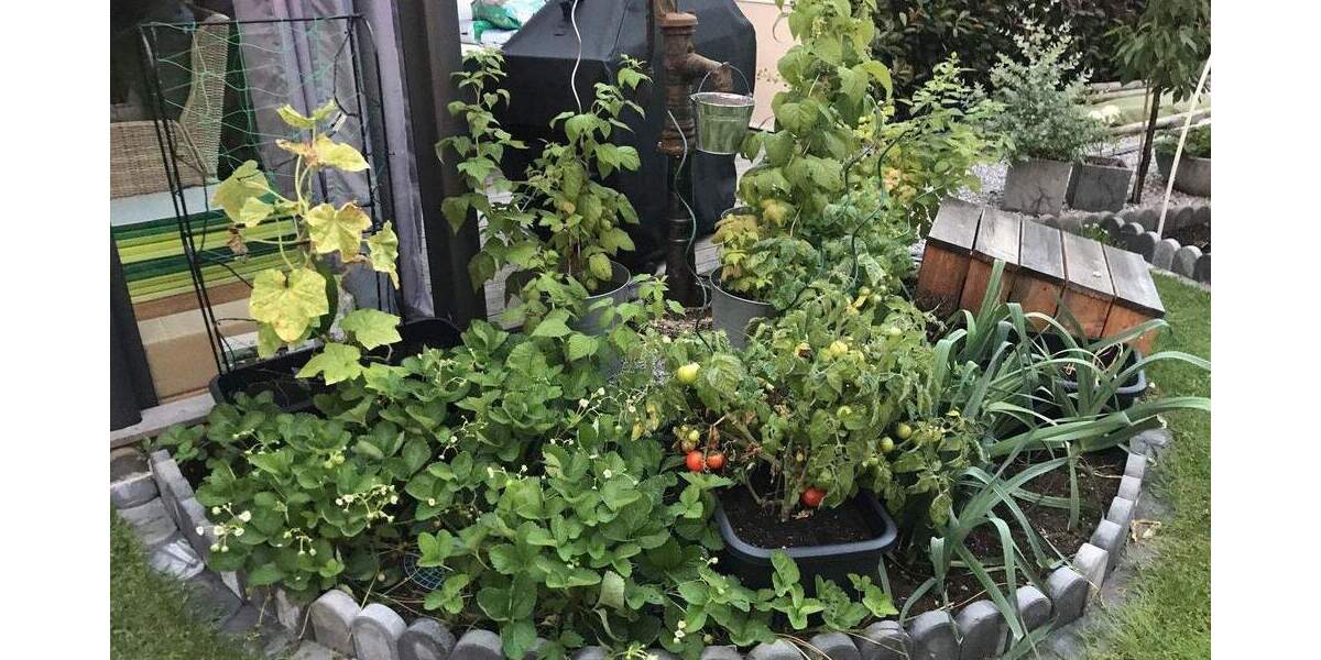 Reihenendhaus Korschenbroich Kleinenbroich - 5 Zimmer, 154 m&sup2;, 829.000&euro; | Angebot:24597919