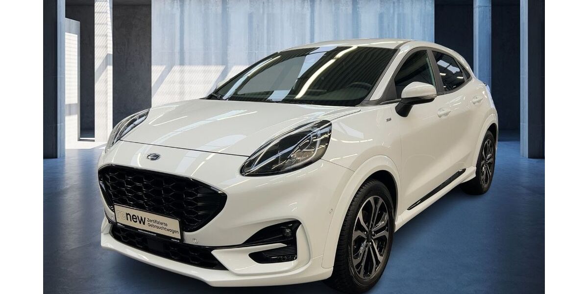 Ford Puma 97.634 km 14.980 &euro; Frankfurt / Main 60314