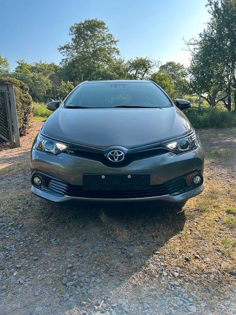 Auris