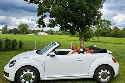 VW Beetle 65.153 km 19.000 &euro; Bosau 23715