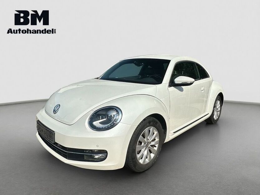 Beetle