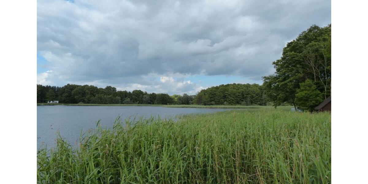 Einfamilienhaus Ferdinandshof - 90.000&euro; | Angebot:26980690