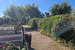 Reihenmittelhaus Halle (Saale) Böllberg-Wörmlitz - 4 Zimmer, 136 m&sup2;, 365.000&euro; | Angebot:25897631