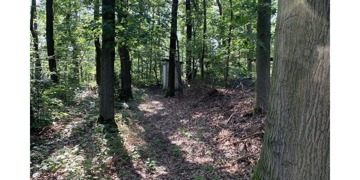 Grundstück Moritzburg / Friedewald Friedewald - 795.000&euro; | Angebot:24723175