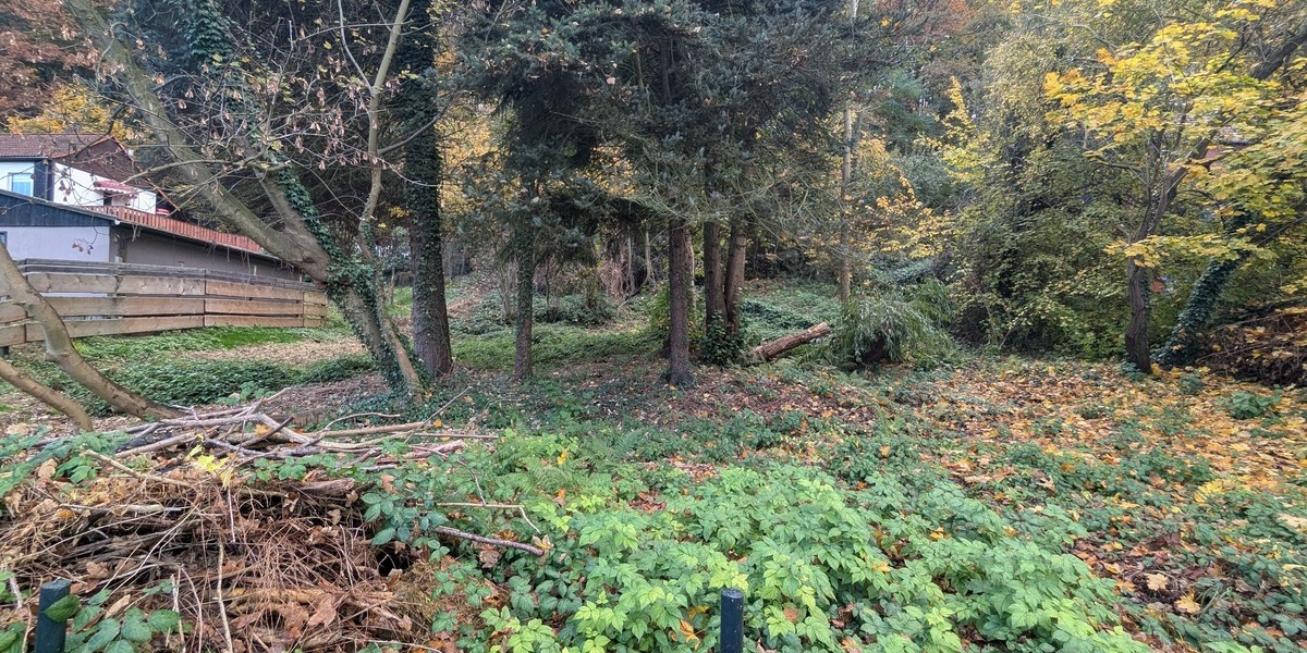 Grundstück Pirna - 119.000&euro; | Angebot:25745354