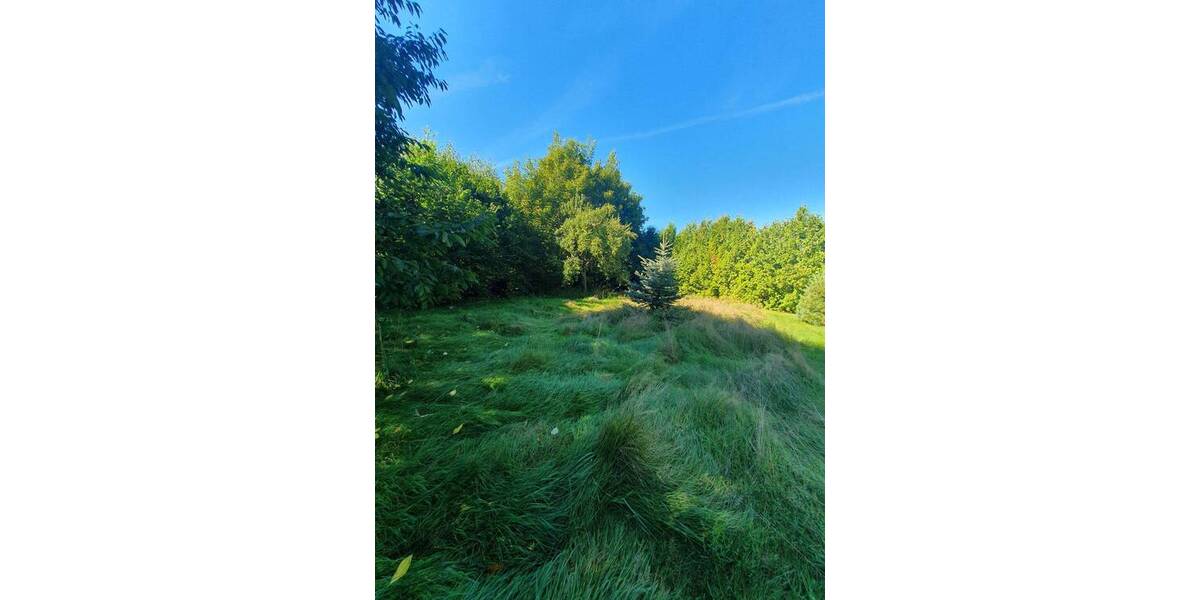 Doppelhaushälfte Bad Schmiedeberg - 4 Zimmer, 104 m&sup2;, 109.000&euro; | Angebot:25665773