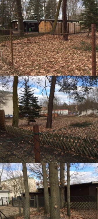 Wohn- und Geschäftsgrundstück in Kolkwitz - Großzügige 2.000 m² am Klinikum zu verkaufen