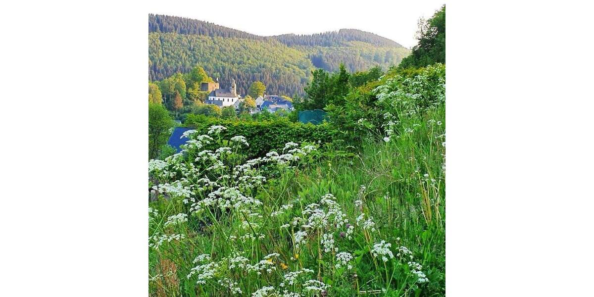 Etagenwohnung Schmallenberg Nordenau - 3 Zimmer, 74 m&sup2;, 140.000&euro; | Angebot:25271615