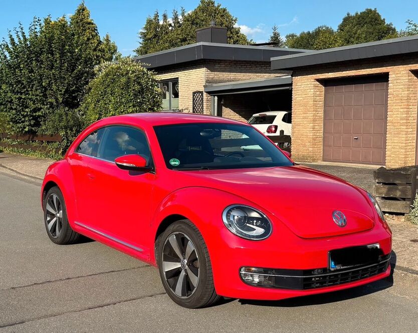 Beetle