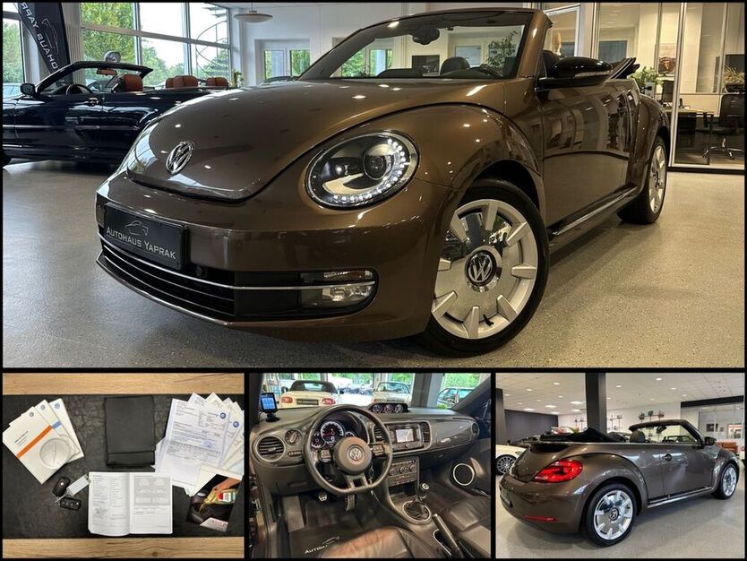 Beetle