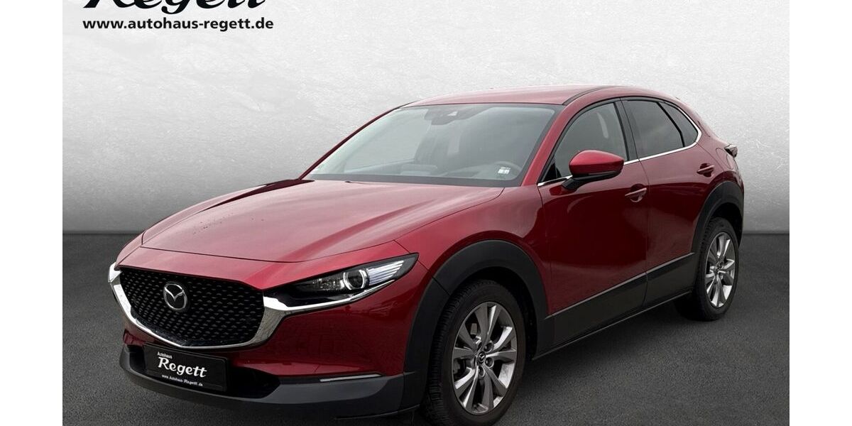 Mazda CX-30 50.000 km 20.990 &euro; Soest 59494