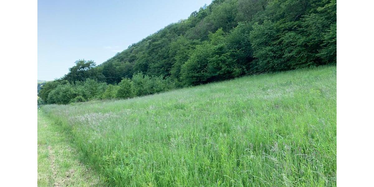 Grundstück Senheim - 14.450&euro; | Angebot:11233803