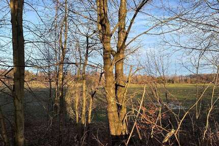 Grundstück zu verkaufen in Brand-Erbisdorf 89.000 € 2261 m²