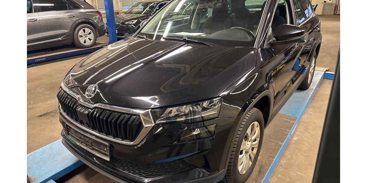 Skoda Karoq 135.819 km 18.990 &euro; Braunschweig 38122