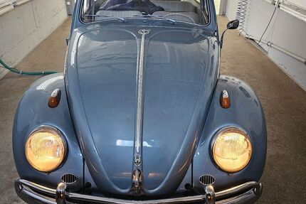 VW Käfer 16.536 km 15.500 &euro; Kochel am see bei München 82431