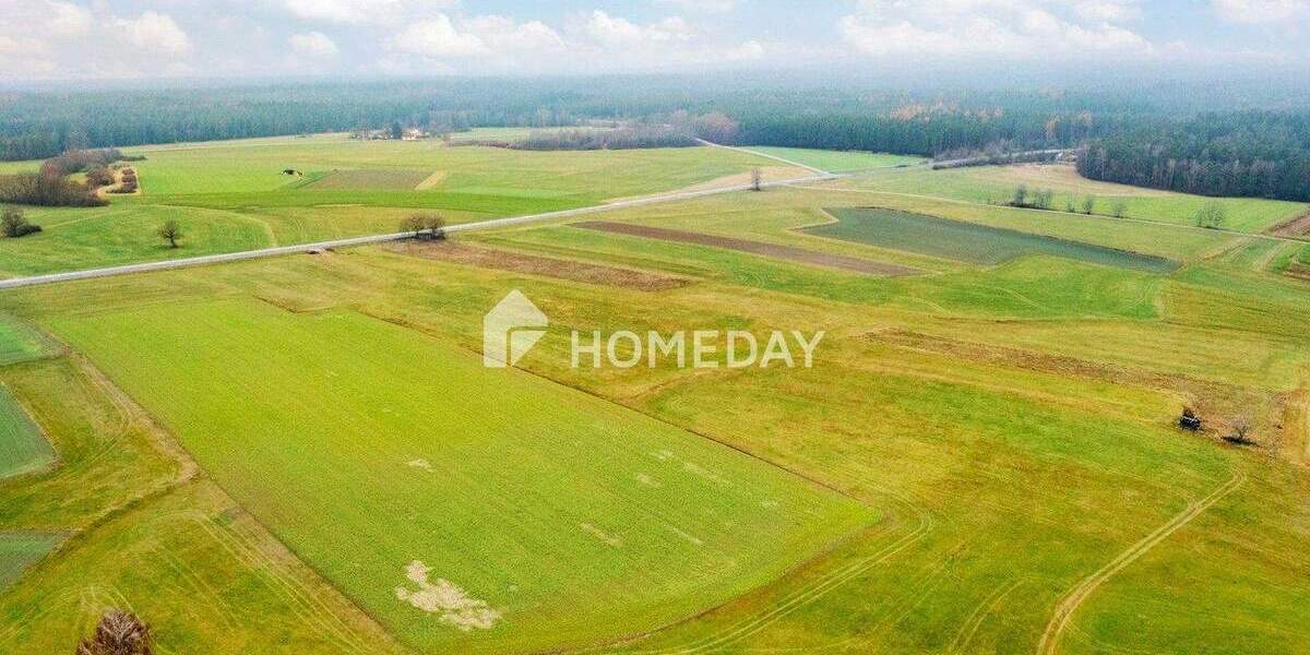 Grundstück Walderbach - 98.000&euro; | Angebot:24846243