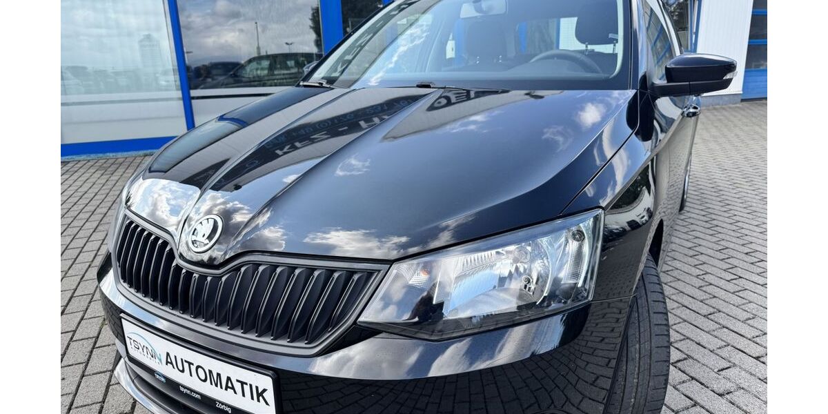 Skoda Fabia 124.989 km 9.854 &euro; Zörbig bei Leipzig 06780