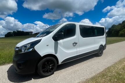 Opel Vivaro 99.999 km 20.990 &euro; Dirlewang 87742