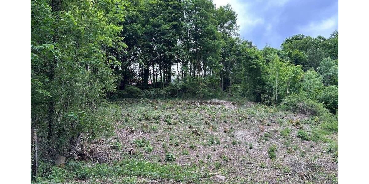 Baugrundstück in Gräfenberg...Reizvolle Lage zimmer