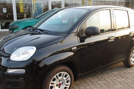 Fiat Panda 36.900 km 8.950 &euro; Lingen - Baccum 49811
