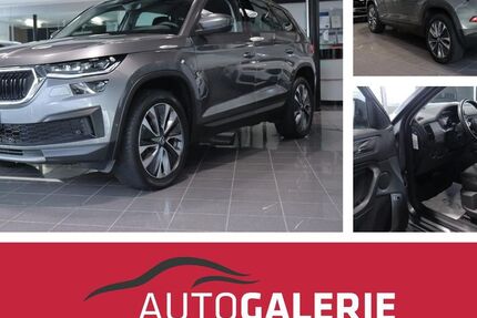 Skoda Kodiaq 100.000 km 29.900 &euro; Braunschweig 38116