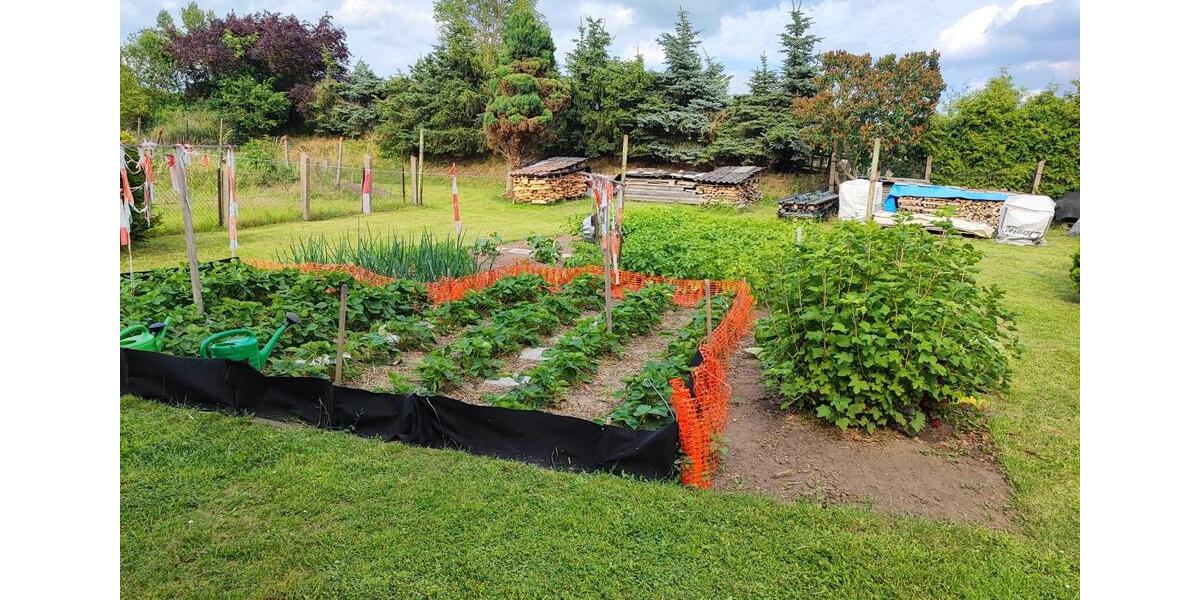 Einfamilienhaus Osternienburger Land - 6 Zimmer, 90 m&sup2;, 95.000&euro; | Angebot:27131239