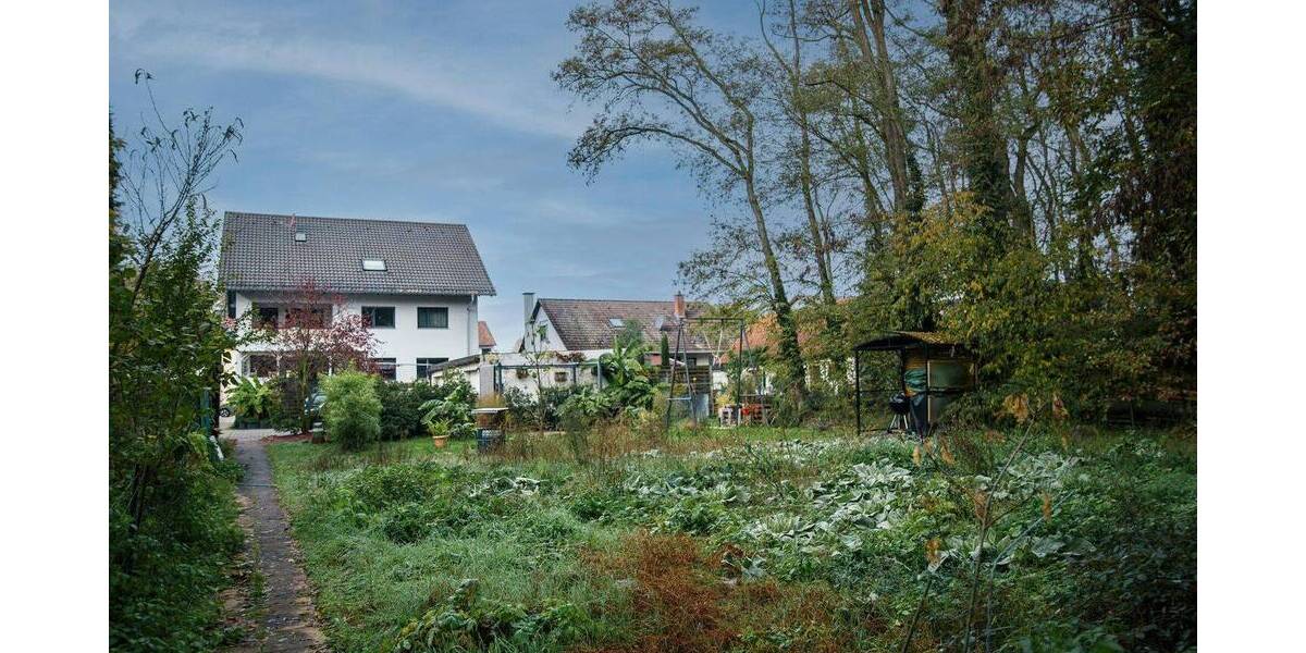 Mehrfamilienhaus, Wohnhaus Ellerstadt Akaziensiedlung - 1 Zimmer, 306 m&sup2;, 799.000&euro; | Angebot:25752232