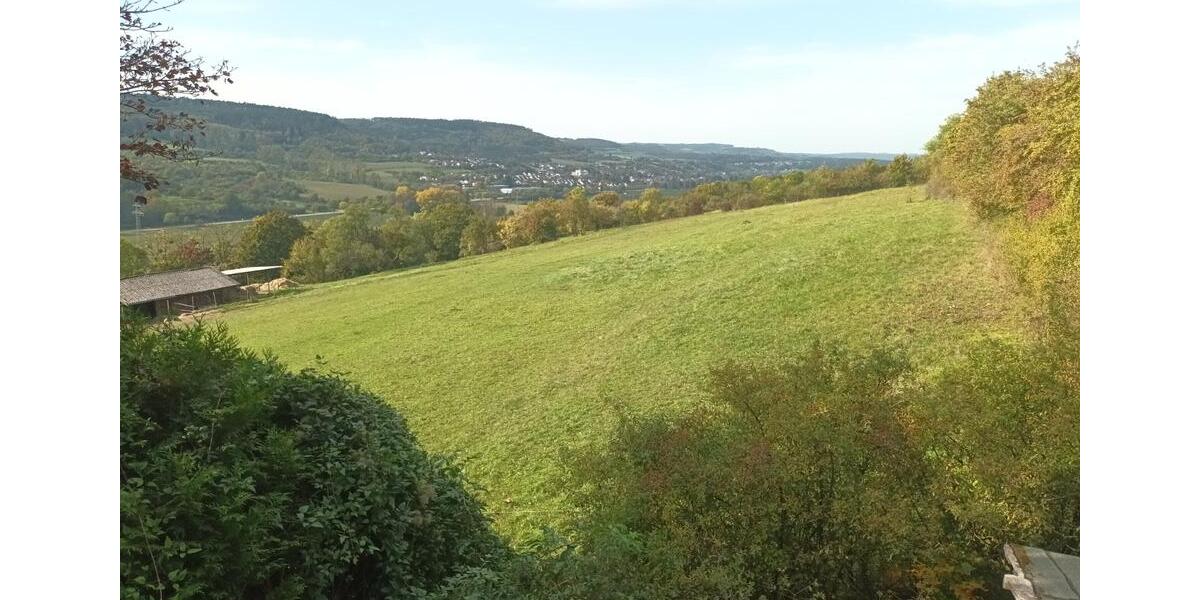 4 ZKB Saarfels TOP Lage 4 zimmer