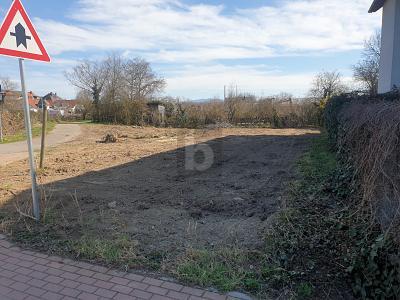 KAISERSTÜHLER IDYLLE TRIFFT FREIBURGER STADTNÄHE - Grundstück Ihringen | Angebot:26838254
