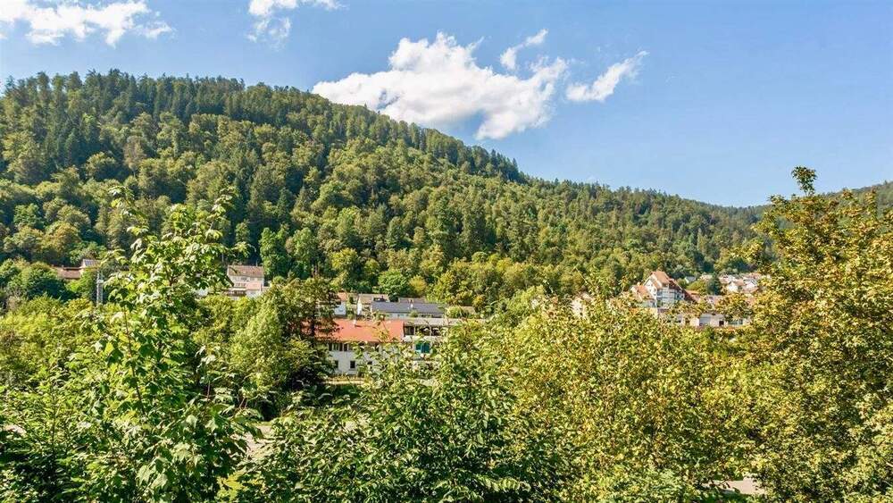 Mehrfamilienhaus, Wohnhaus Eberbach Eberbach - 1 Zimmer, 241 m&sup2;, 367.000&euro; | Angebot:25740339