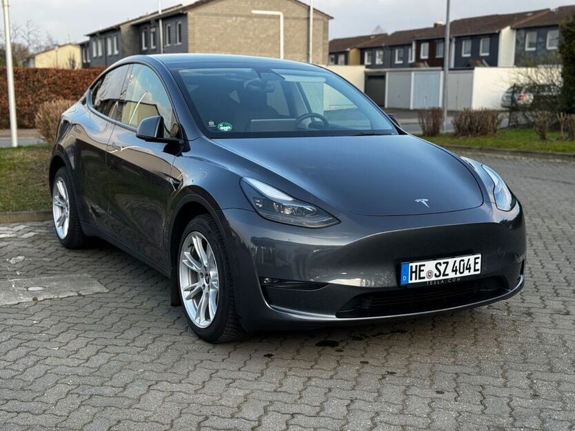 Model Y