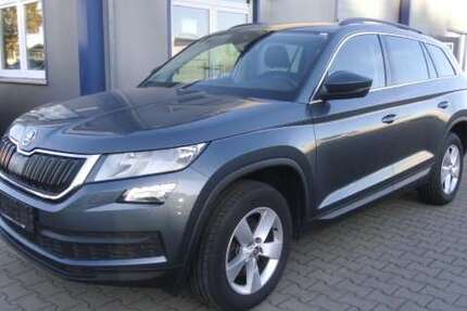 Skoda Kodiaq 156.000 km 17.390 € Sassenburg 38524