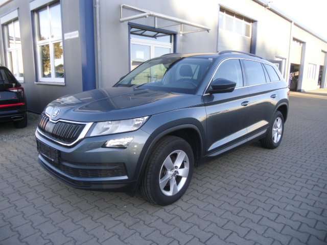 Skoda Kodiaq 156.000 km 17.390 € Sassenburg 38524