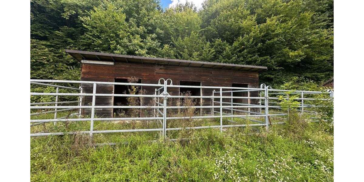 Traumgrundstück mit kleinem Wohn- und Wochenendhaus zimmer