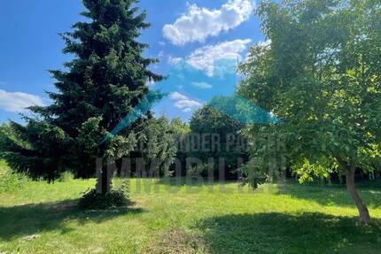 Neubauprojekt mit Bestandsimmobilie zum sanieren (Sonder-Afa) in Kassel - BettenhausenEichwald! zimmer