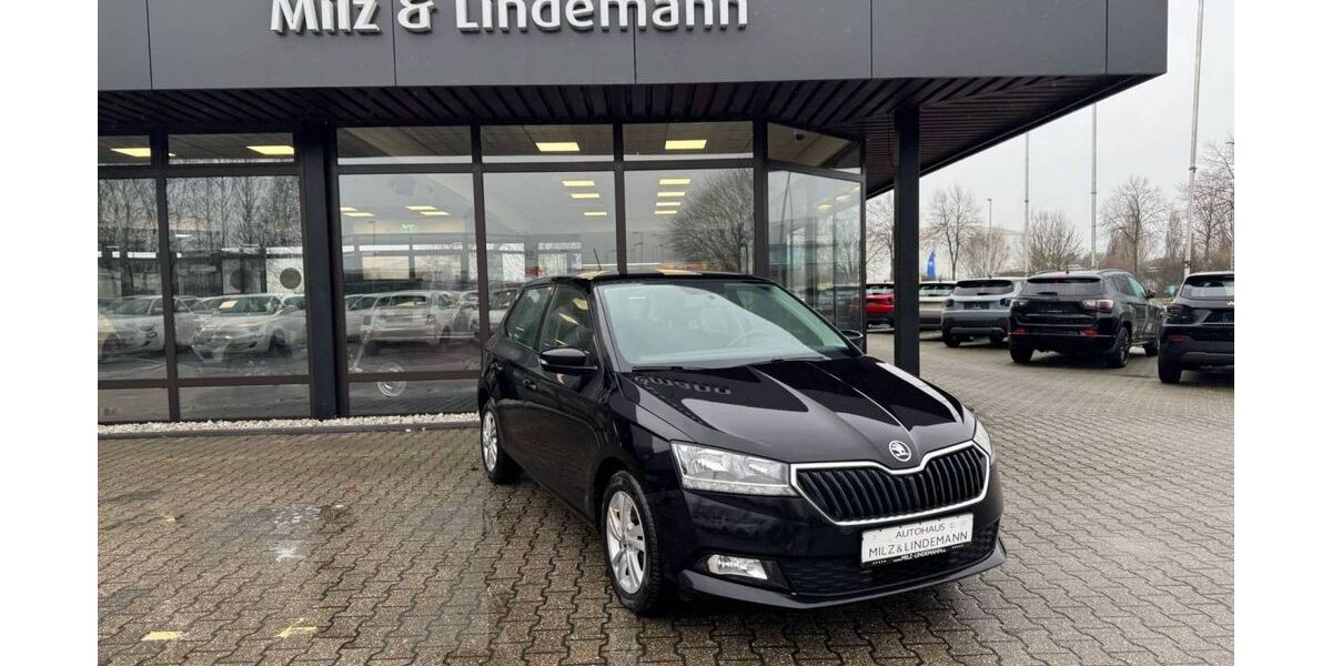 Skoda Fabia 141.519 km 8.490 &euro; Jülich 52428