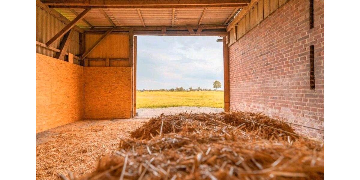 Einfamilienhaus Neuhaus (Oste) - 8 Zimmer, 310 m&sup2;, 395.000&euro; | Angebot:27028550