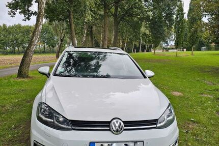 VW Golf 99.856 km 16.300 € Hörstel 48477